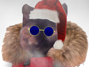 :chat_noel: