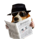:Chien_espion: