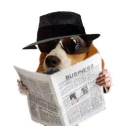 :Chien_espion: