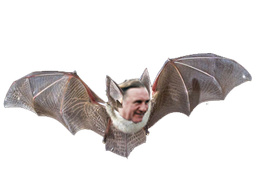 :depardieu_vole:
