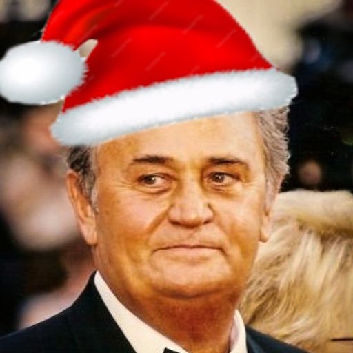 Navarro