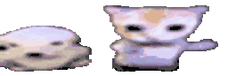 :Chien_et_chat: