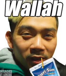:Wallasiat: