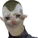 :dz_chat: