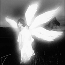 BlueLadyShow