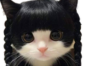 :chatbob2: :chatbob2:
