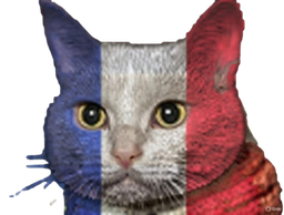 :Chat-Tris: