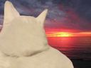 :sadCat: