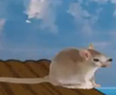 :copain2chananeMieu: