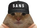 :chat_sans: