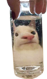:glouent: