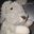 Photo de profil de LapinGay