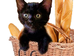 :chaton_pain: