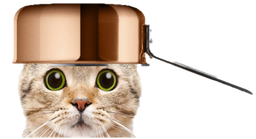 :chat_casserole_1: