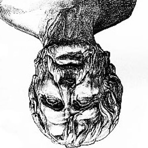 Euqenes