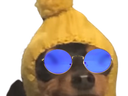 :chien_bonnet_redpill: