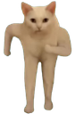 :ohtoituvasvoir: