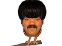 :Risiseau: