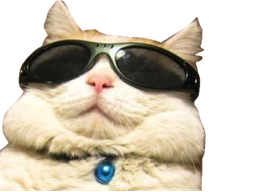 :chat_trkl: