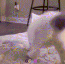 :chat-twerk: