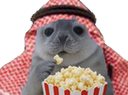 :phoquepopcornsaoudien: