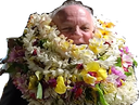 :asselivahine: