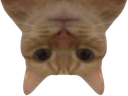 :Chatinverse: