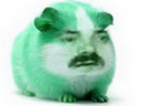 :Hamster_vert: