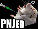 :rat_pnjed: