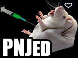 :rat_pnjed: