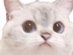 :chatrokawaii_boude:
