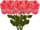 :50_roses: