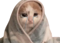 :Chaton_qui_pleure:
