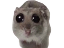:grozyeu: