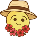 :hawaionche: