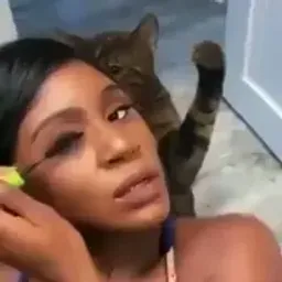 :Chattape: