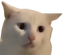 :Tristounio: