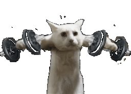 :chat_muscu: