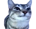 :CS2_Mignon: