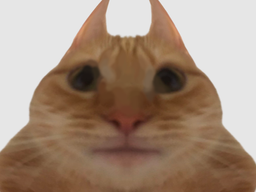 :chat_oreille: