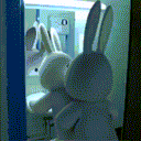 :lapin_baise: