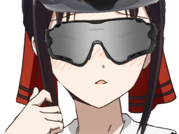 :kjvelo: