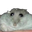 Photo de profil de Hampter