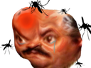 :risitasmoustique:
