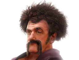 :Hercule_Prolo_Zoom: