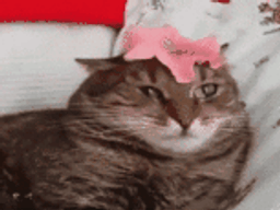:omg_: