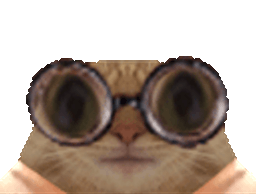 :chat_lunettes_cligne_gros_yeux: