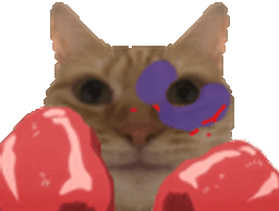 :chat_boxe_gif: