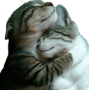 :ChatCalin: