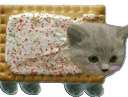 :Chatbiscuit: